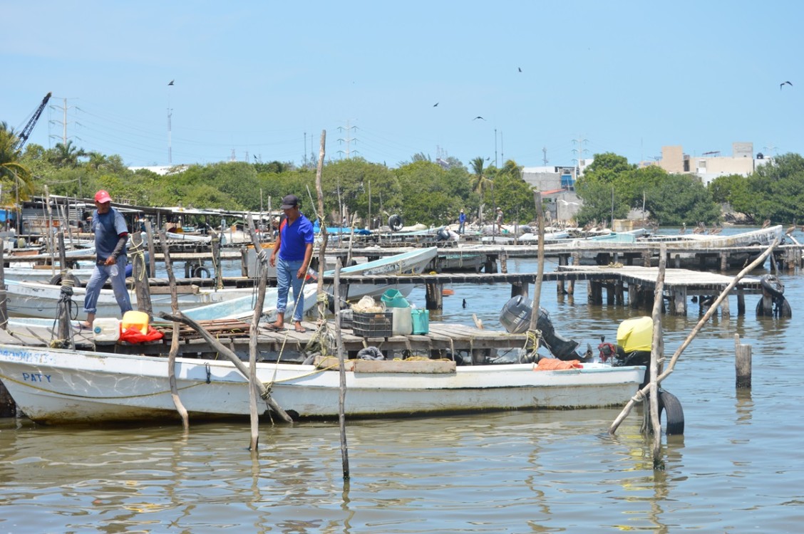 Depuran padrón pesquero para el programa de Bienpesca del año próximo