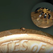 Crean el robot más pequeño del mundo. Mide menos de 1 milímetro.