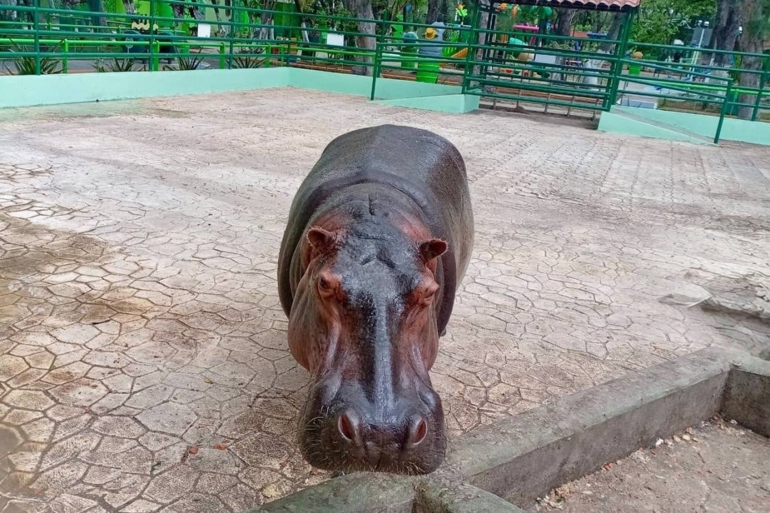 Sin emergencia en el ecoparque en esta temporada de calor