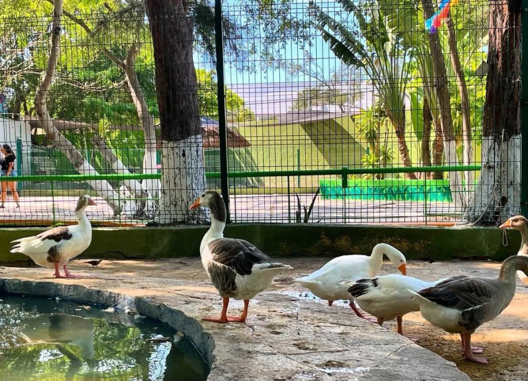 Sin emergencia en el ecoparque en esta temporada de calor