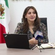 Poderes del estado, pueden continuar con propaganda del proceso judicial durante veda