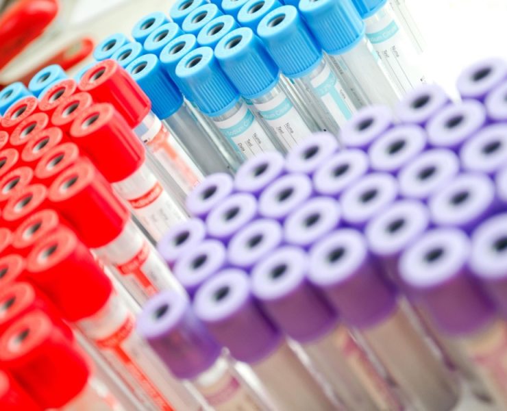 Empresas ligadas al cártel de la sangre