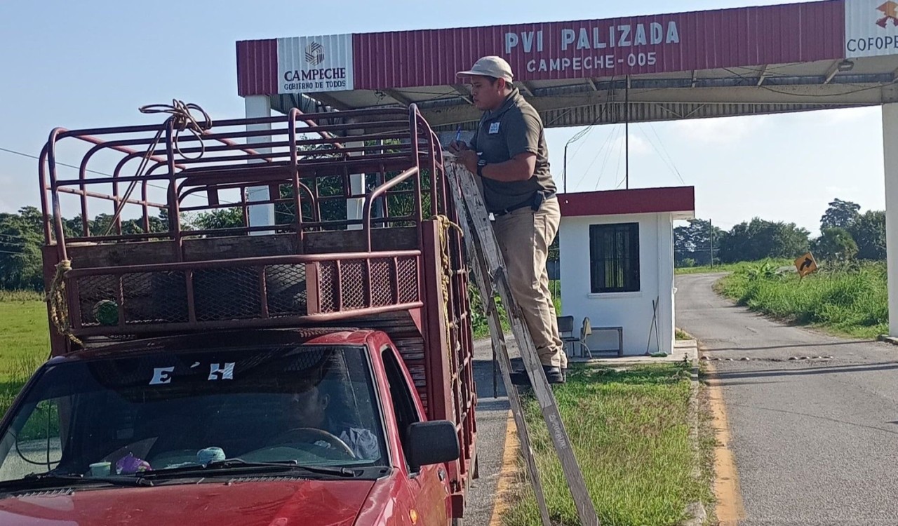 Gobierno de Campeche abandonó el tema de salud animal