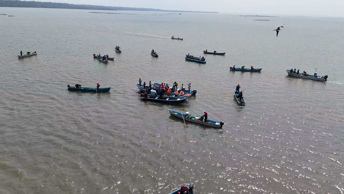 Gobierno del Pueblo a sus actividades