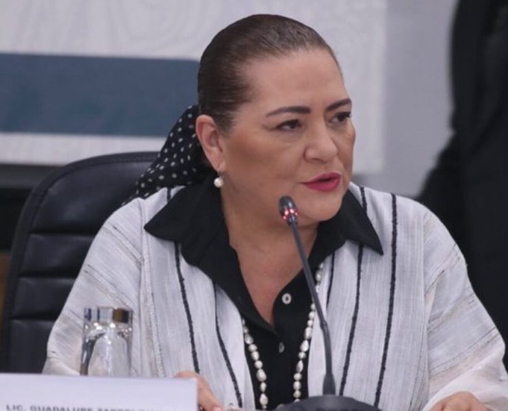 INE rechaza responsabilidad por posible baja participación en elección judicial