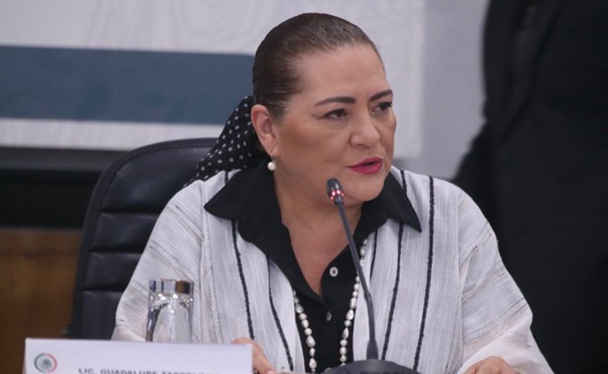 INE rechaza responsabilidad por posible baja participación en elección judicial