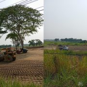 Humedales de villa Parrilla