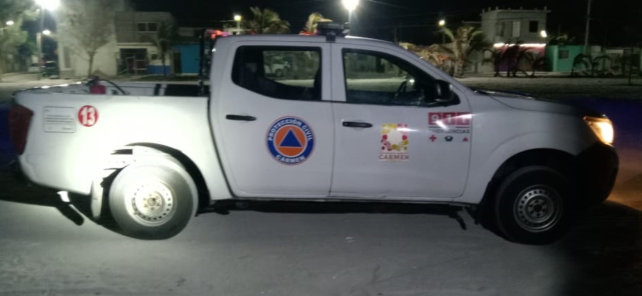 Intentaron robar una tortuga que llegó a anidar