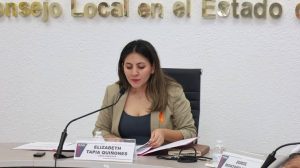 Acordeones permitidos en Elecciones Judiciales ¿Qué declaro el INE?