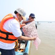 Javier May en Sánchez Magallanes