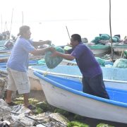 Logrará “Pescando Vida” resurgimiento del puerto Sánchez Magallanes