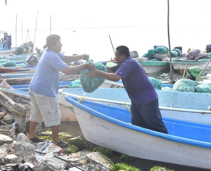 Logrará “Pescando Vida” resurgimiento del puerto Sánchez Magallanes