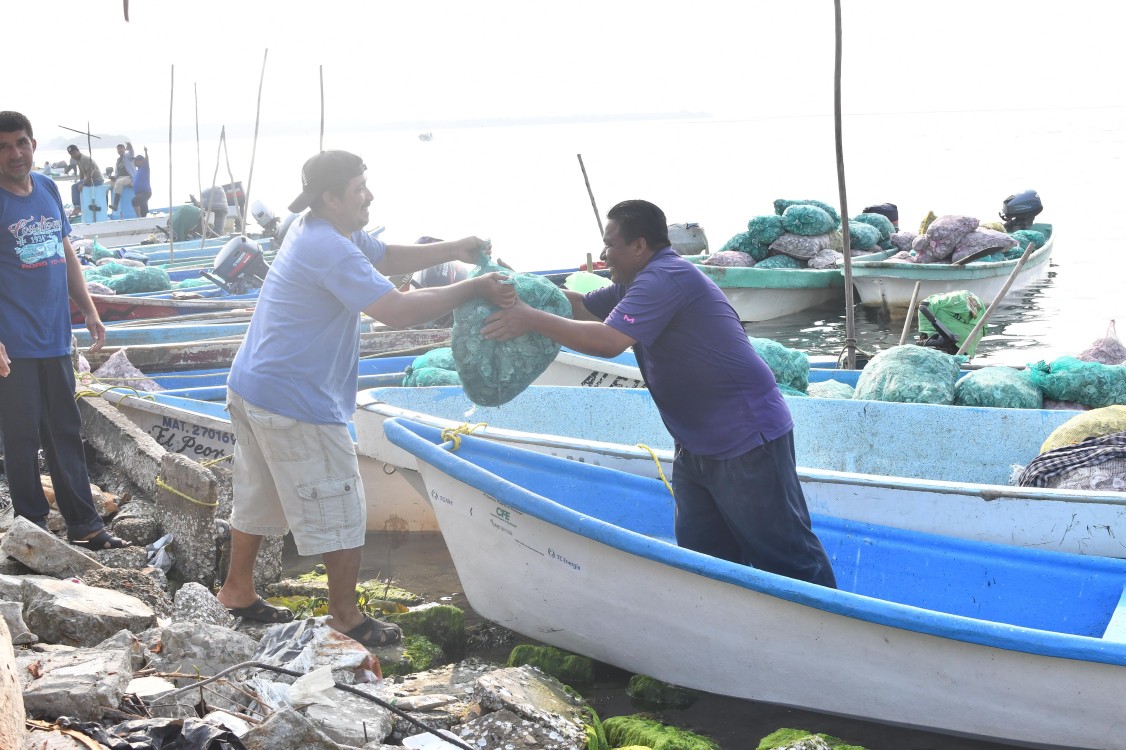 Logrará “Pescando Vida” resurgimiento del puerto Sánchez Magallanes