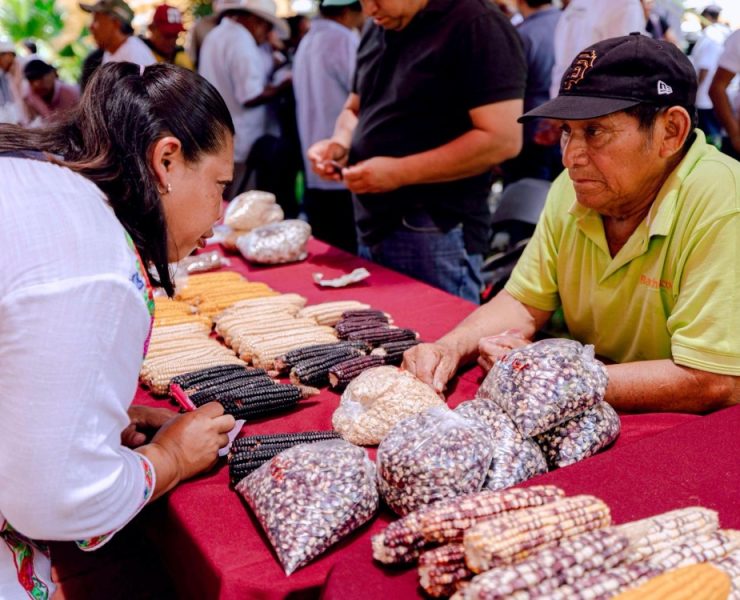 Herencia Viva: Gobierno del Estado impulsa conservación de saberes mayas