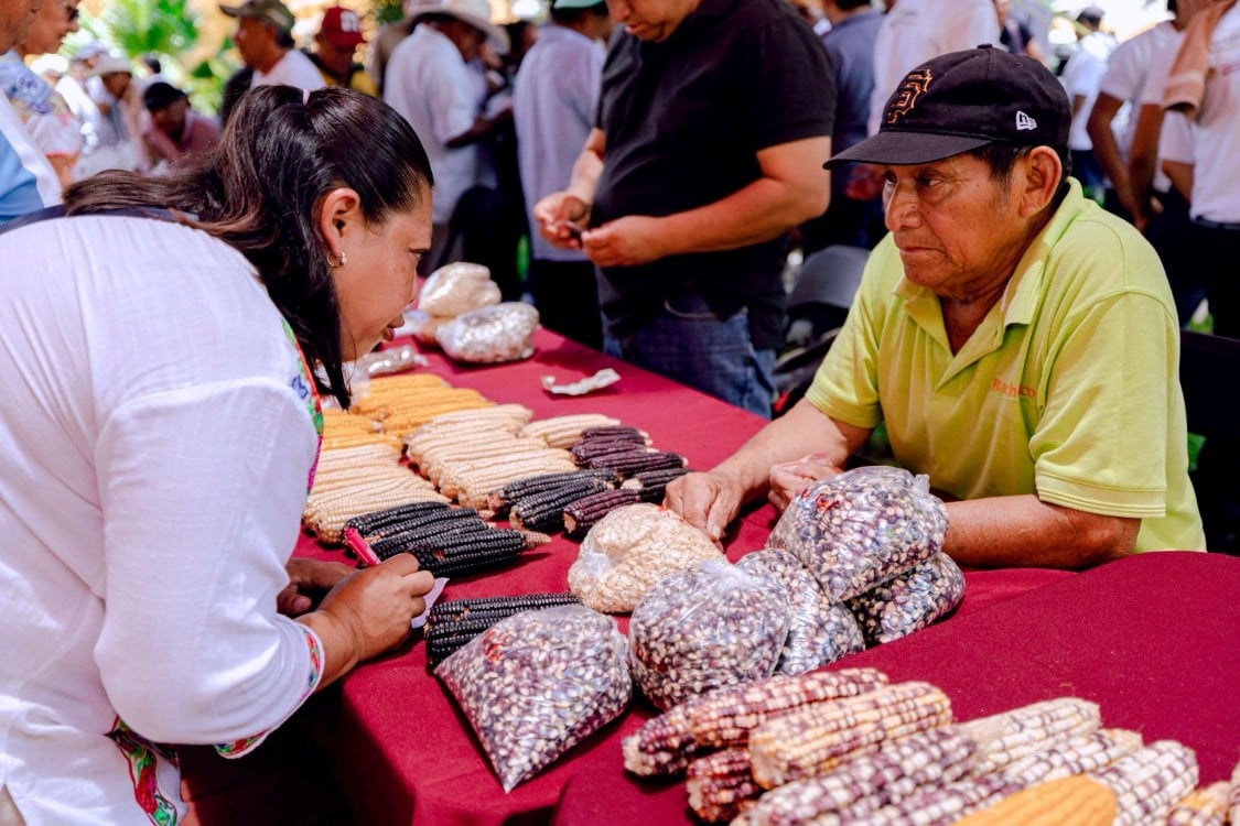 Herencia Viva: Gobierno del Estado impulsa conservación de saberes mayas