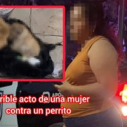 Indignación cruel muerte de perrito en Nuevo León