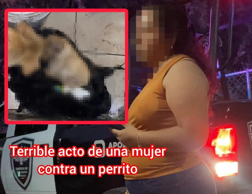 Indignación cruel muerte de perrito en Nuevo León