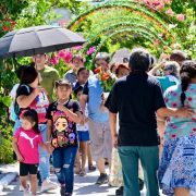 Panteones listos para recibir a ciudadanos el 10 de Mayo