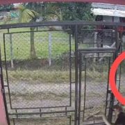 (Videos) Pastor cristiano fue señalado de intentar atacar a su hijastra de 13 años