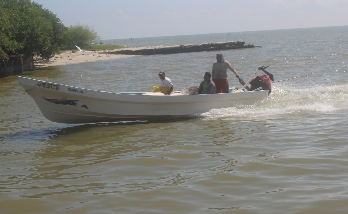 Depuran padrón pesquero para el programa de Bienpesca del año próximo