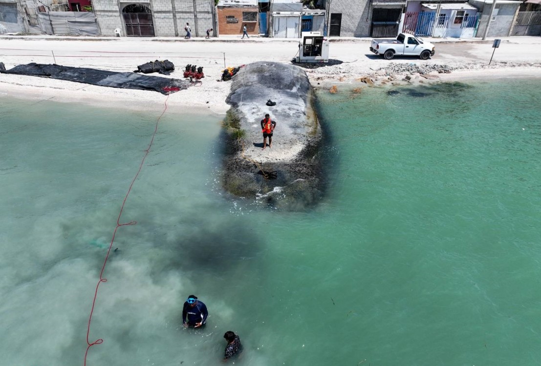 Rescatarán 200 metros de playa de Manigua en Ciudad del Carmen