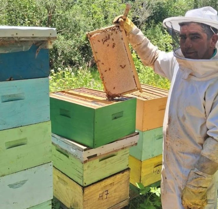 Campeche se encuentra en 5º lugar como productor de miel a nivel nacional