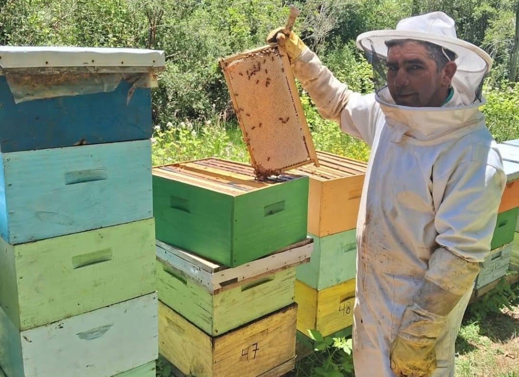 Campeche se encuentra en 5º lugar como productor de miel a nivel nacional