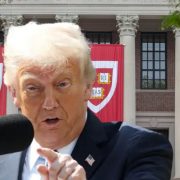 Trump planea quitar a Harvard