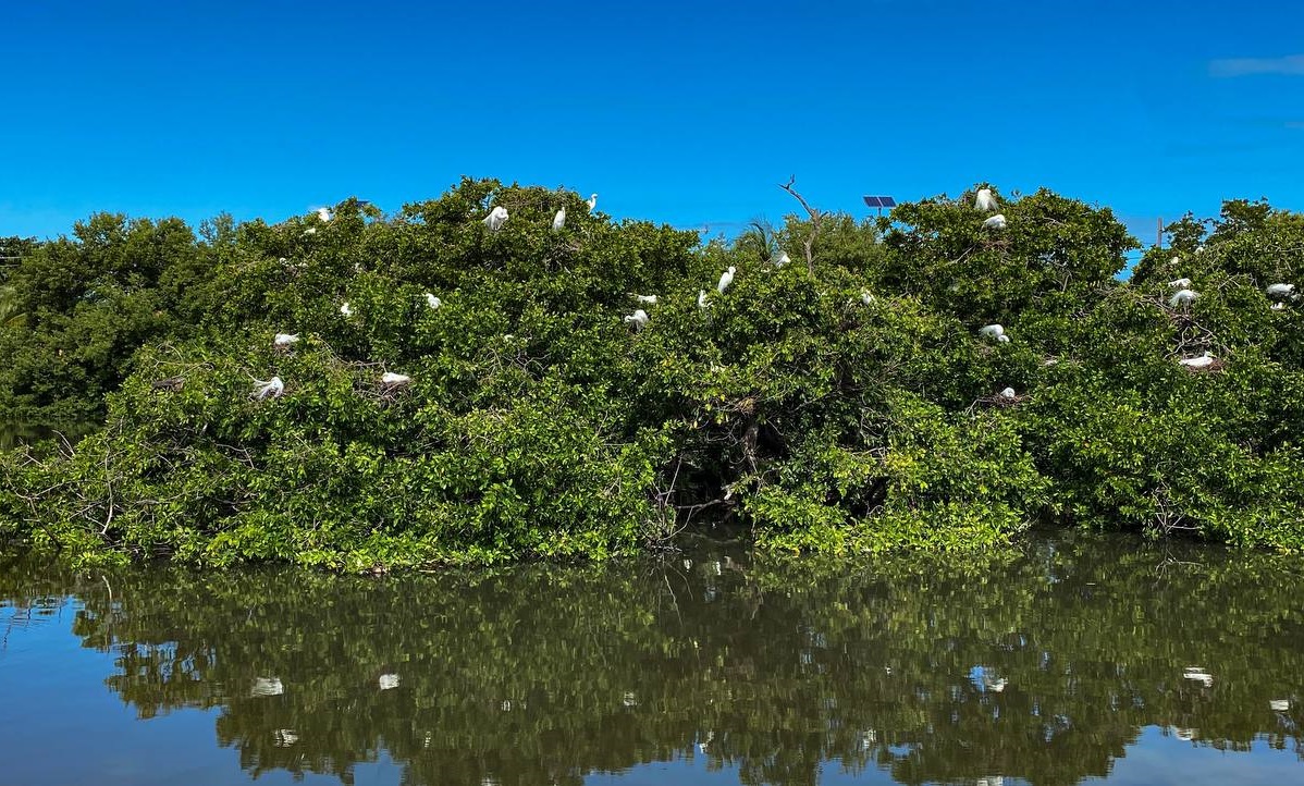 Ecoturismo futuro del municipio de Carmen