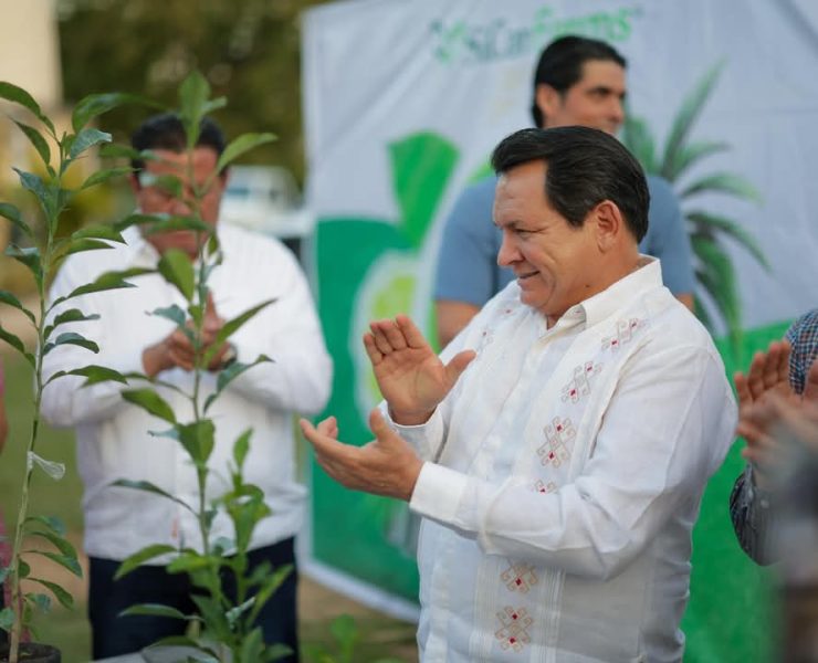 El renacimiento del campo yucateco.