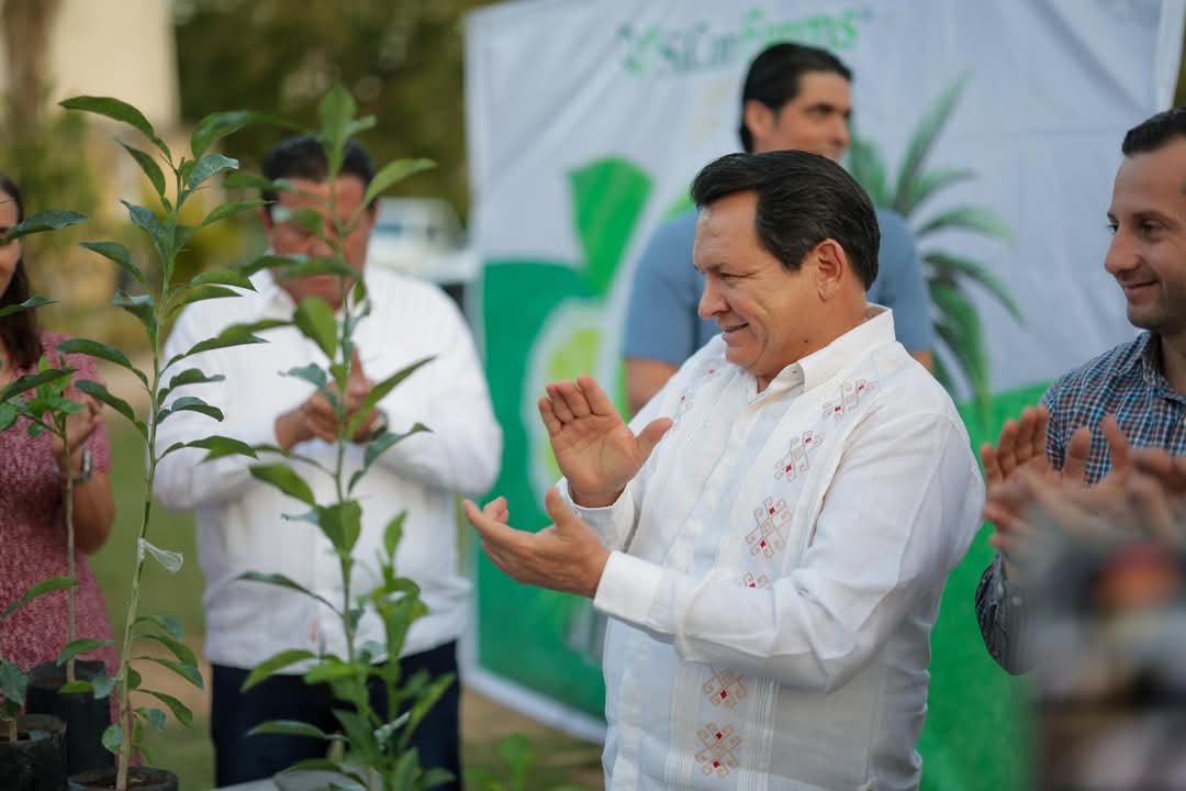 El renacimiento del campo yucateco.