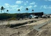 Delincuencia empresarial organizada; son los impunes ecocidios de las inmobiliarias.