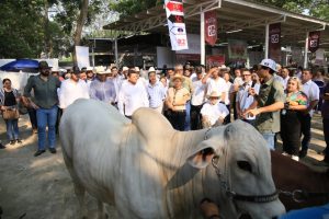 Productores locales presentan ejemplares de ganado de alta calidad en la Feria Tabasco 2025, respaldados por los programas impulsados por Javier May, quien está comprometido con el sector agropecuario.