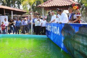 Autoridades estatales recorren los stands de la Feria Tabasco 2025, destacando los avances del programa Pescando Vida y reafirmando que Javier May está comprometido con el sector agropecuario.