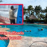 ¿Maltrato animal? Profepa clausura definitivamente el delfinario del Hotel Barceló