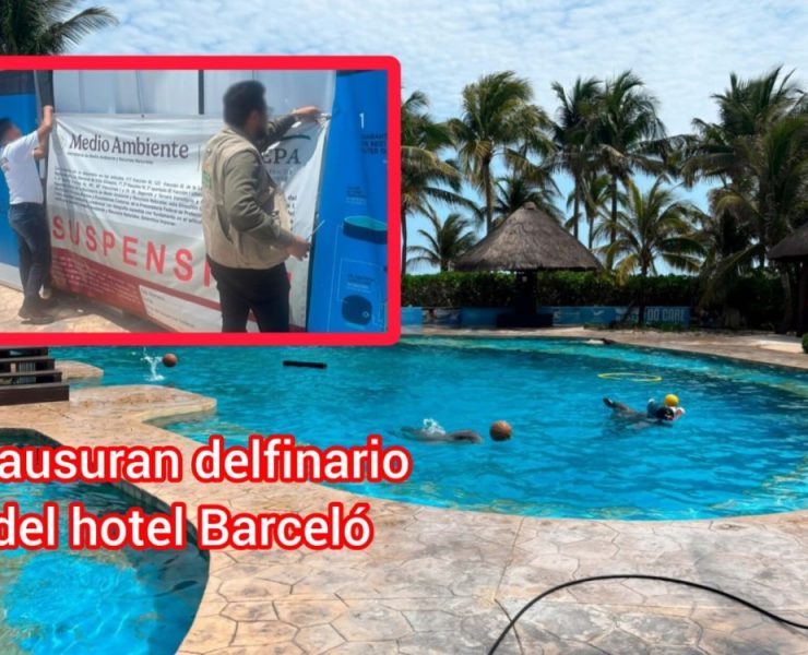 ¿Maltrato animal? Profepa clausura definitivamente el delfinario del Hotel Barceló