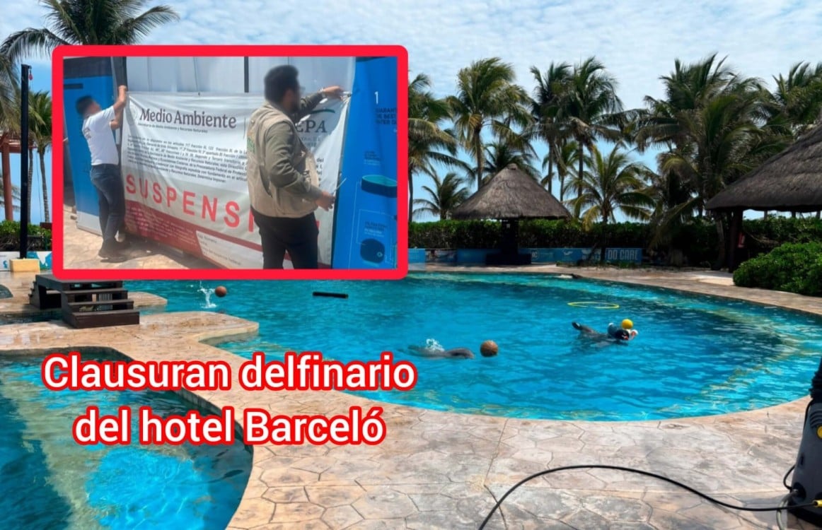 ¿Maltrato animal? Profepa clausura definitivamente el delfinario del Hotel Barceló