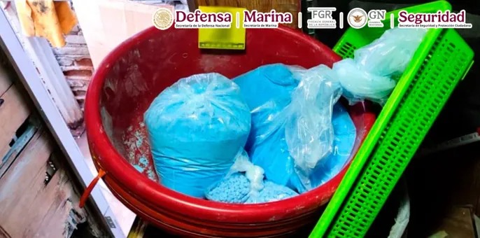 delincuencia organizada 