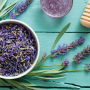 Beneficios de tomar té de lavanda