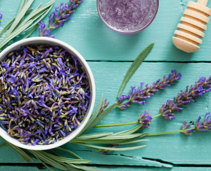 Beneficios de tomar té de lavanda