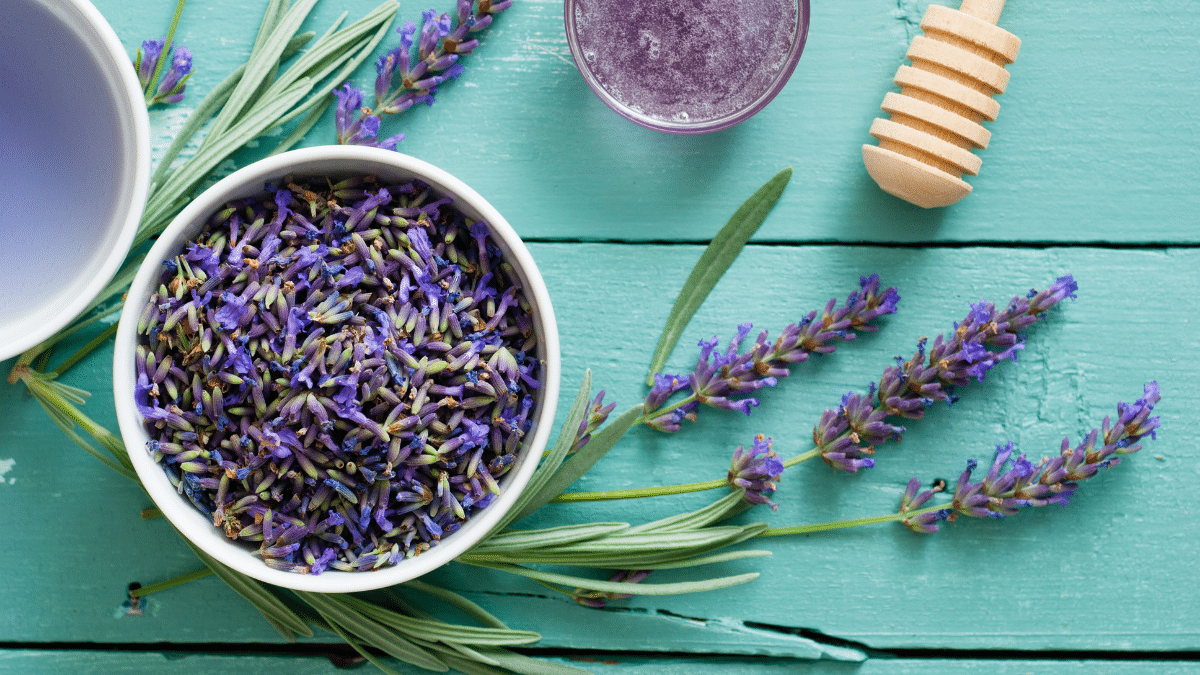 Beneficios de tomar té de lavanda