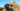 MrBeast visita sitios arqueológicos en México
