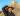 MrBeast visita sitios arqueológicos en México