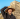 MrBeast visita sitios arqueológicos en México