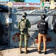 las fuerzas federales de seguridad