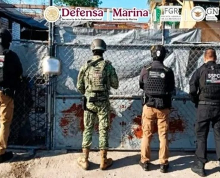 las fuerzas federales de seguridad