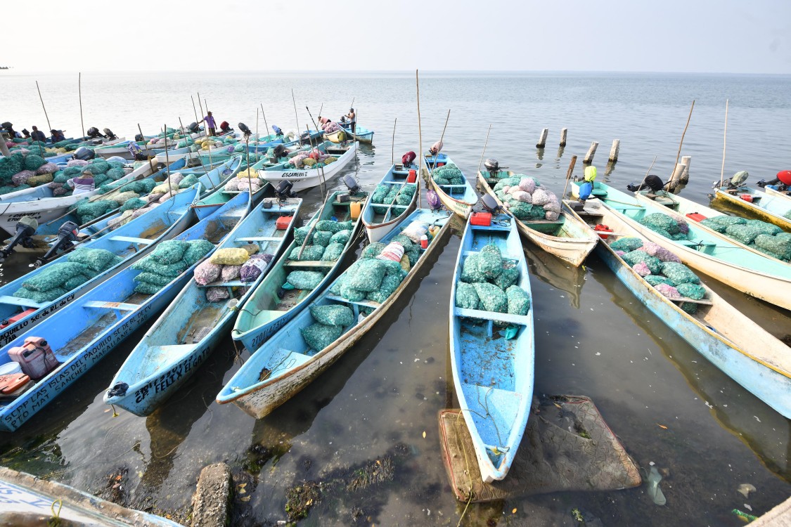 programa Pescando Vida