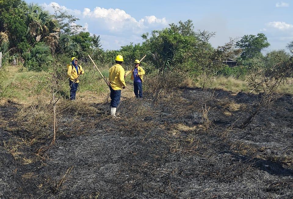Incendio acaba con algunas colmenas de abejas: En Sabancuy