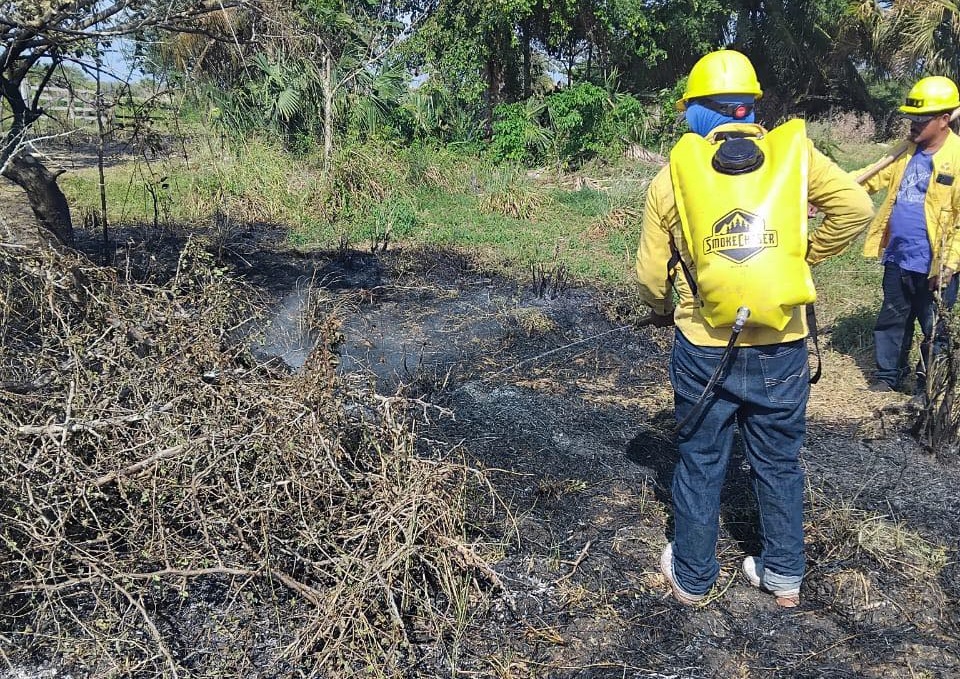 Incendio acaba con algunas colmenas de abejas: En Sabancuy