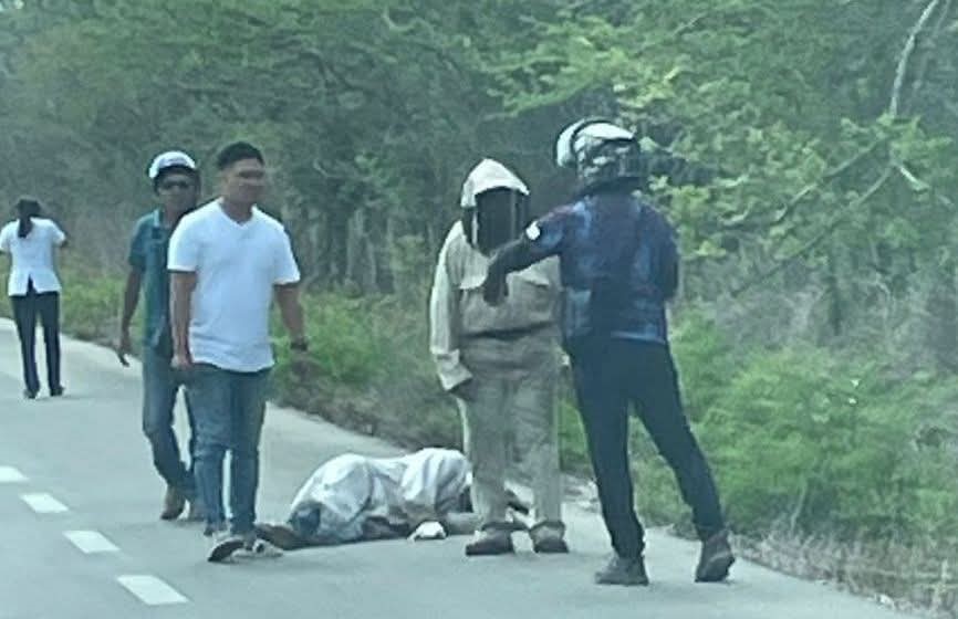 De terror sus abejas lo persiguen y termina arrollado